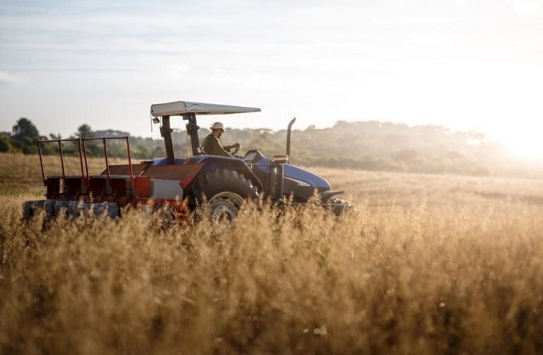 Pipart Global Income - Banco do Brasil